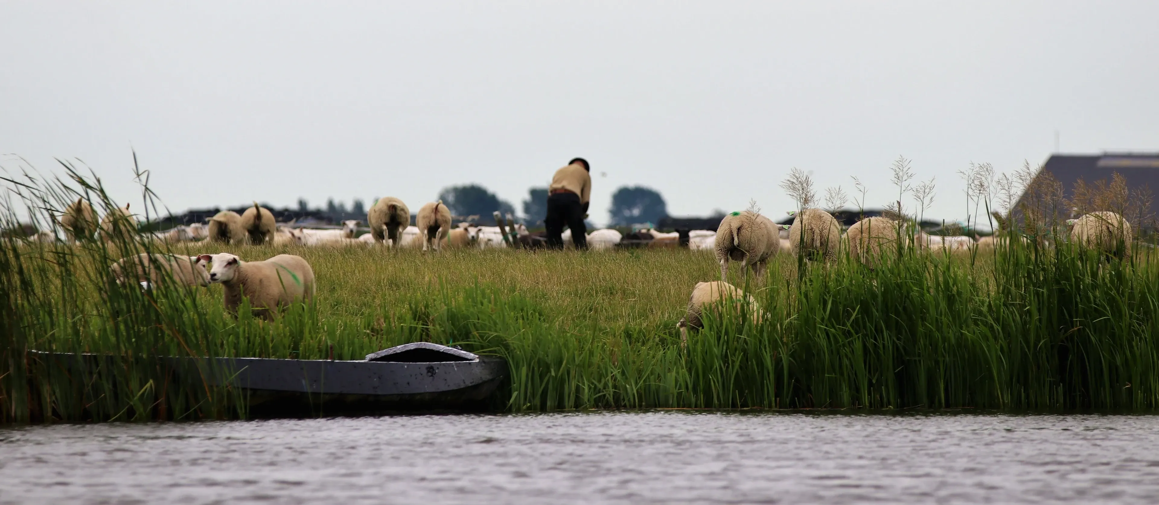 Sloep huren in Friesland? ✔️ Gedeelte Elfstedenroute ✔️ Vrijheid ✔️ Ontdek Witmarsum | Boek eenvoudig online