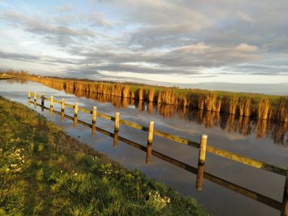 Tijdens een tocht met een sloep van Sloepverhuur Bolsward optimaal genieten van ruimte en rust.