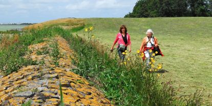 Heerlijk wandelen in rust en ruimte vanuit Bolsward en huur een sloep bij Sloepverhuur Friesland.