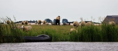 Sloep huren in Friesland? ✔️ Gedeelte Elfstedenroute ✔️ Vrijheid ✔️ Ontdek Witmarsum | Boek eenvoudig online